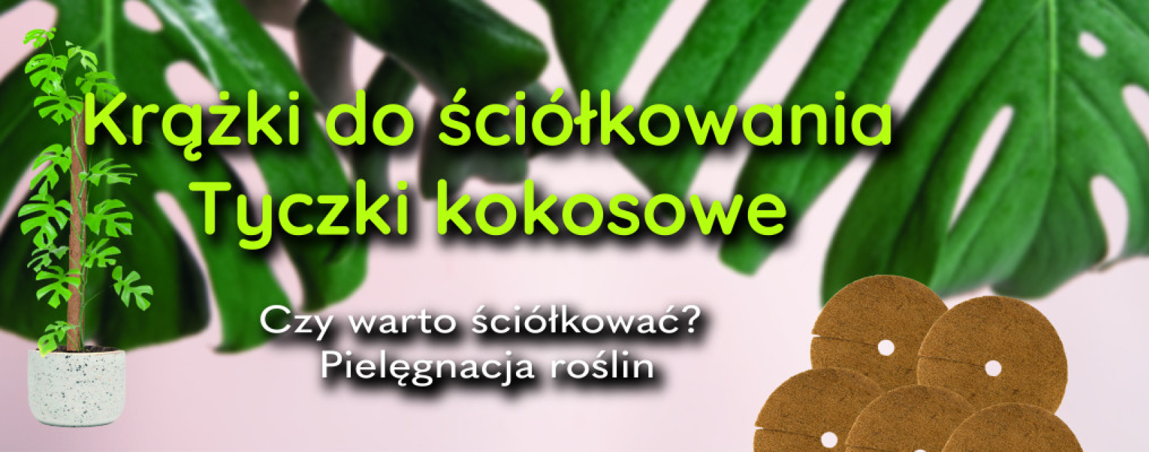 Krążki do ściółkowania, tyczki kokosowe–organiczna ściółka do pielęgnacji roślin