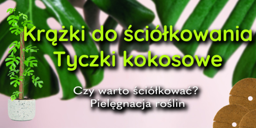 Krążki do ściółkowania, tyczki kokosowe–organiczna ściółka do pielęgnacji roślin